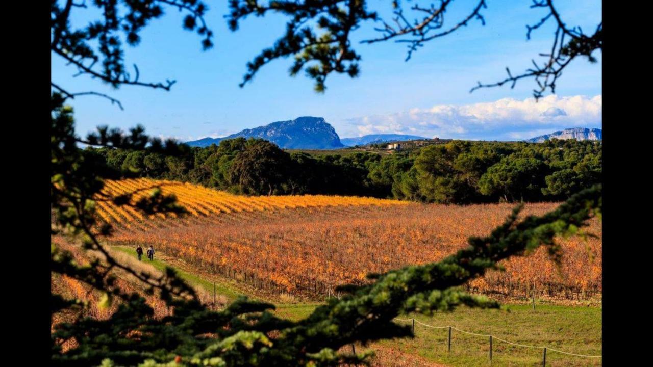 Gite Du Domaine Saint Jean De L'Arbousier Castries Eksteriør bilde